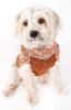 Royal Bark Heavy Cable Knitted Designer Fashion Dog Sweater